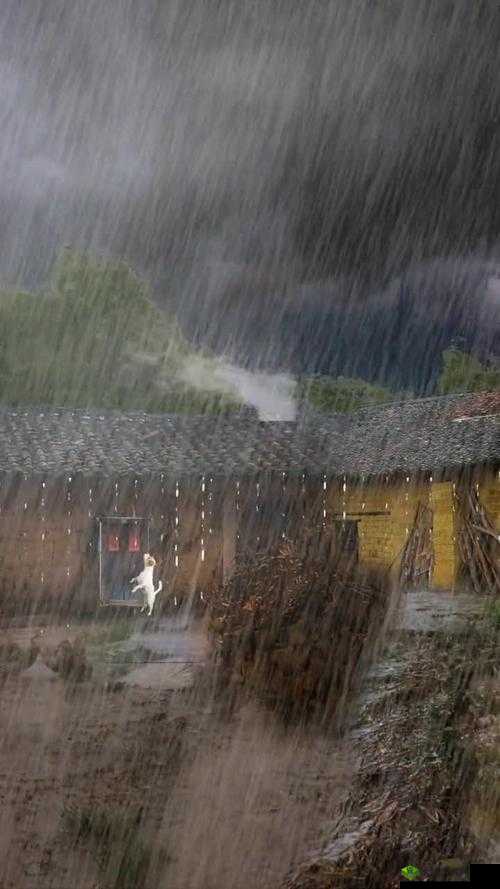 外回り中に突然の大雨一雨宿：意外之遇