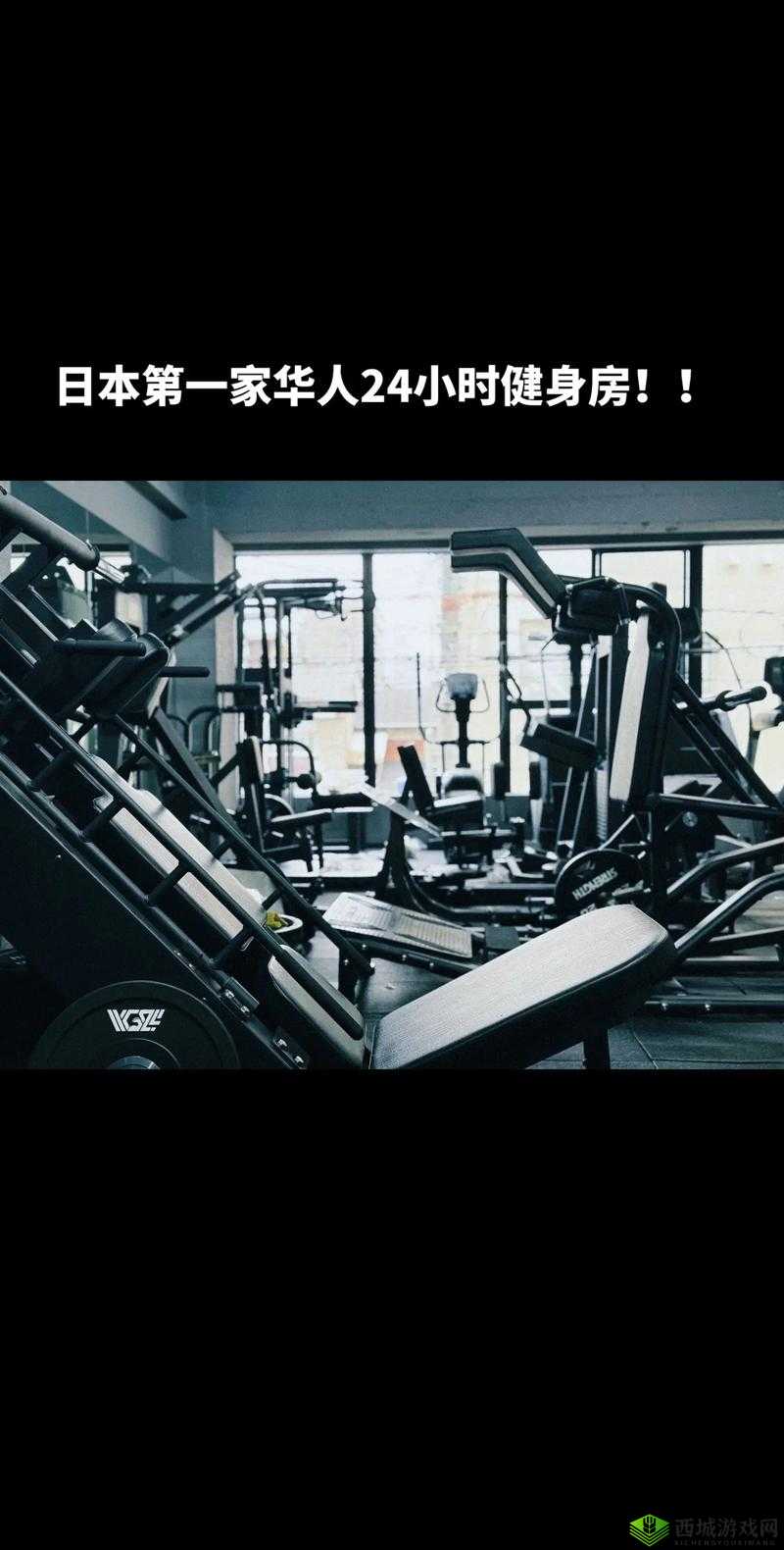 日本免费一曲二曲三曲：探索日本音乐的多元魅力