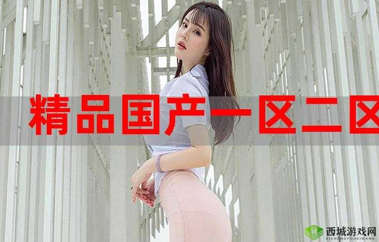 国精产品一区二区三区有限公司：引领行业发展