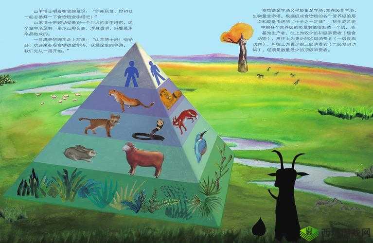 洗手间截了一段小视频食物链：揭秘其背后的故事
