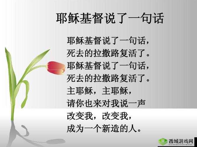 他强而有力的律动让我喜不自胜且沉醉其中