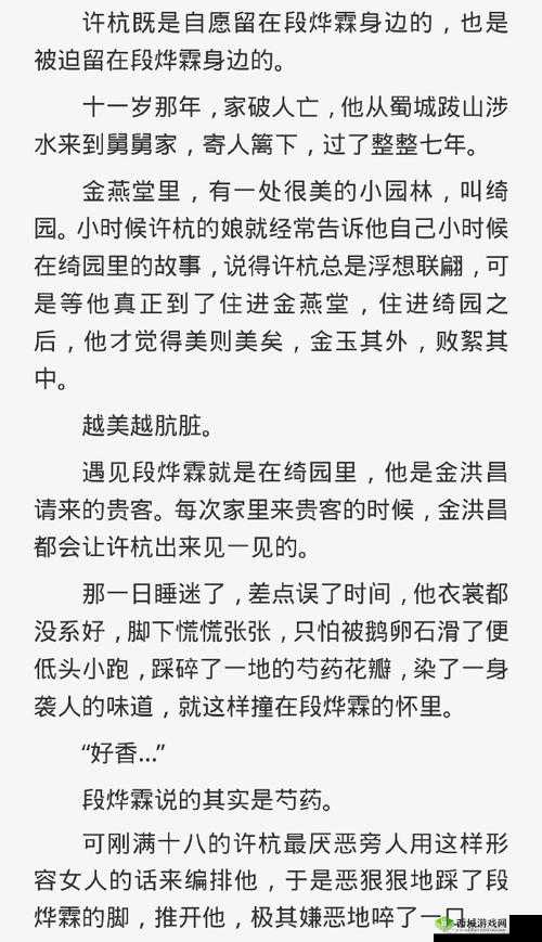 金雀钗-古言双男主的爱恨纠葛