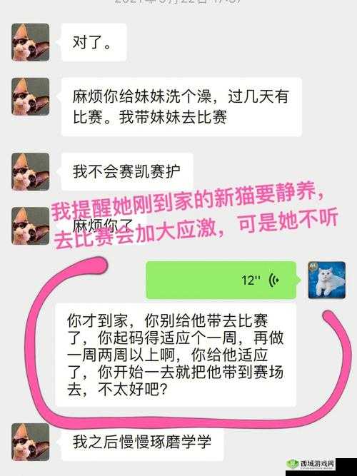 呱呱爆料 911 吃瓜网站：揭秘不为人知的秘密