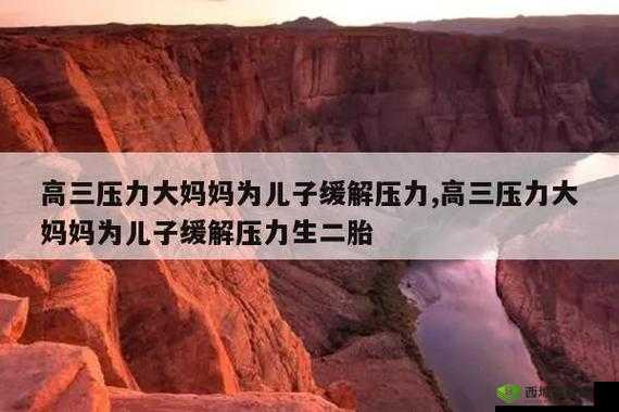高三妈妈用身体缓解孩子压力:背后的隐情
