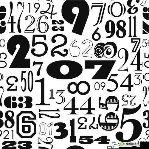 789se 带你体验独特的数字魅力