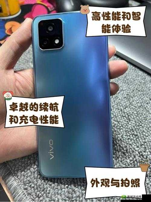 一级成色好的 y31s 标准版评测：全方位深度解析