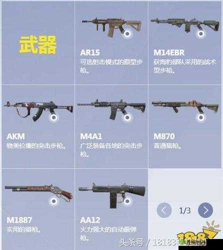 终结者2审判日，AR15与M4A1步枪对比，资源管理、使用技巧及价值最大化策略