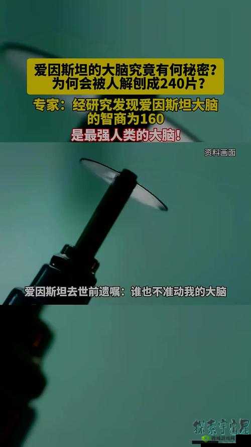爱因斯坦大脑切片成最强蜗牛SSS级贵重物？属性效果引好奇