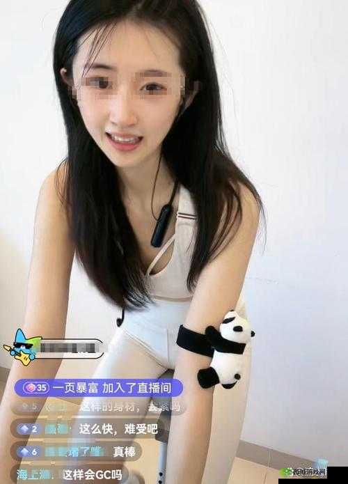国产娇小 13videos 糟蹋：挑战道德底线的低俗内容