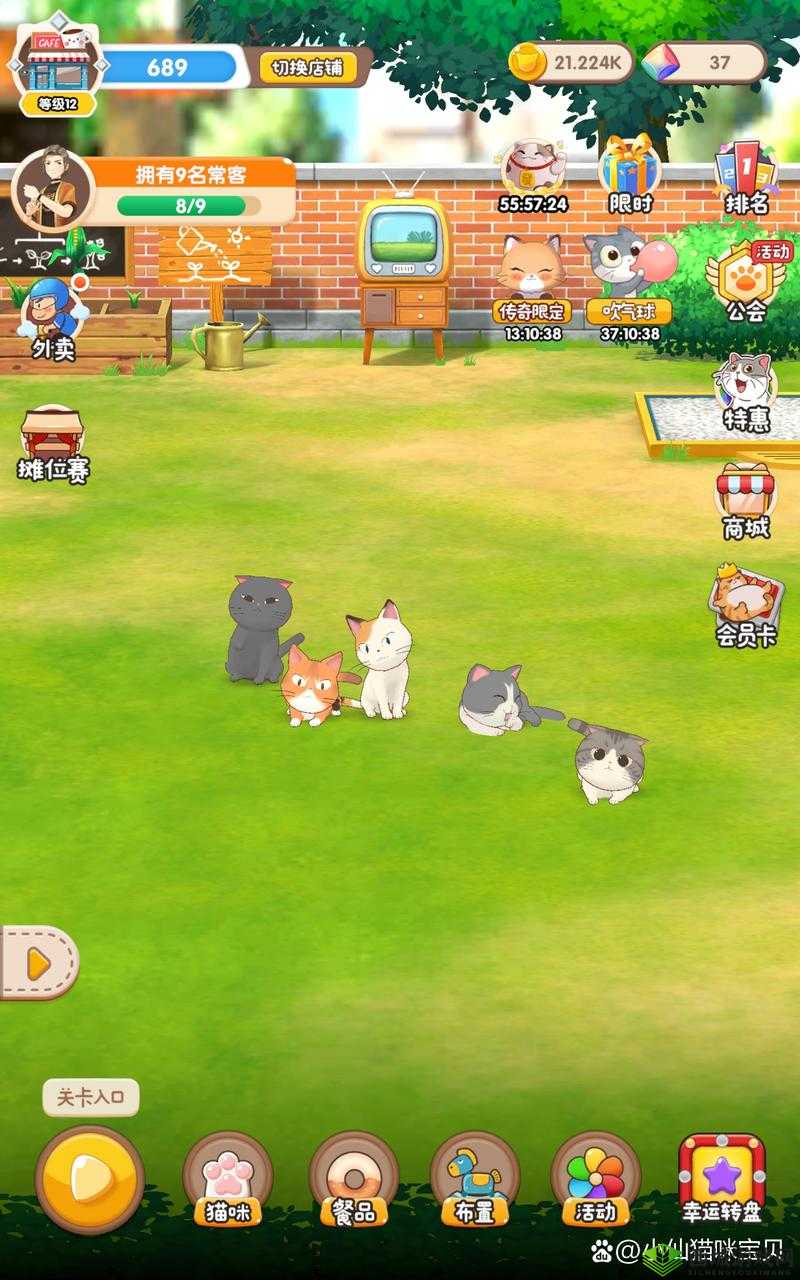 猫语咖啡爪爪究竟有何魅力？详细技能介绍与全面攻略揭秘！