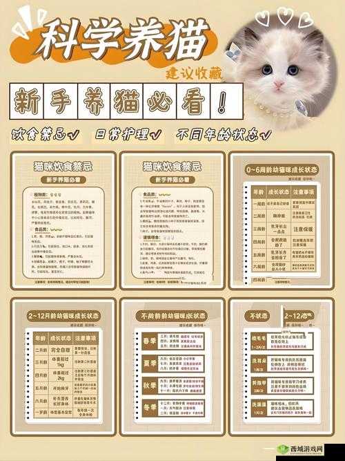 喵星人简史离线收益怎么最大化？底层逻辑与操作全攻略深度揭秘！