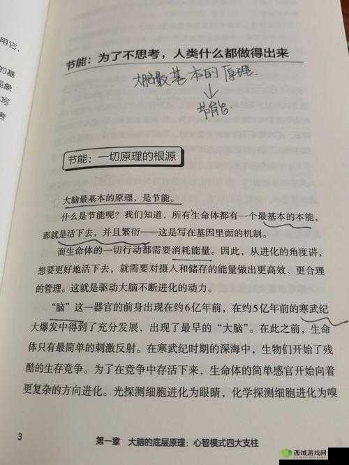 脑洞大侦探第二十关隐藏攻略何在？深度剖析底层逻辑与操作映射秘诀！