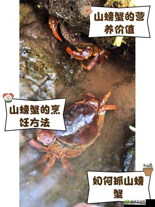 揭秘山海镜花N卡小蟹，它的技能属性究竟有多强，值得培养吗？